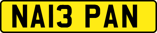 NA13PAN