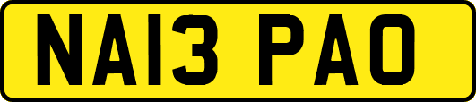 NA13PAO
