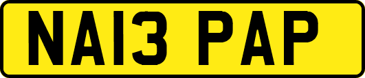 NA13PAP