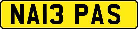NA13PAS