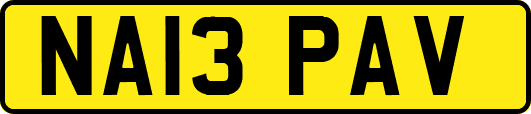 NA13PAV