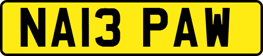 NA13PAW