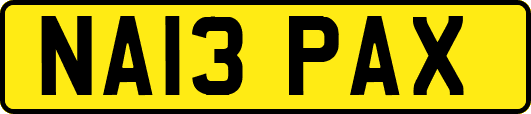 NA13PAX