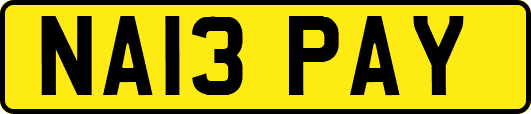 NA13PAY