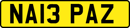 NA13PAZ