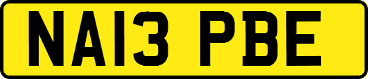 NA13PBE