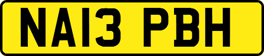 NA13PBH