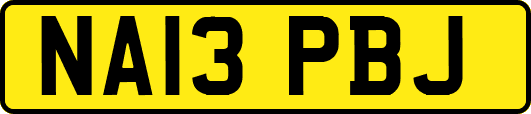 NA13PBJ