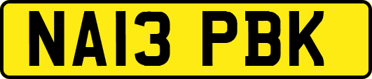NA13PBK