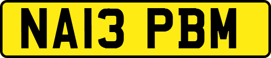 NA13PBM