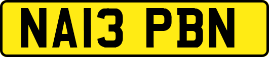 NA13PBN