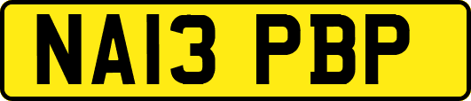 NA13PBP