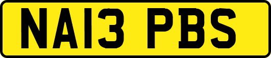 NA13PBS