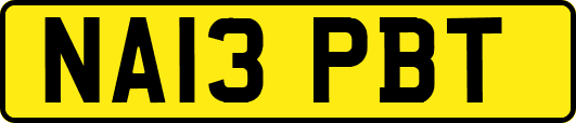 NA13PBT
