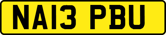 NA13PBU