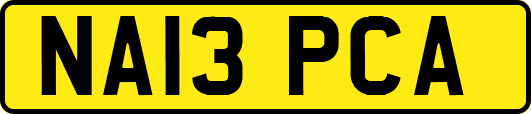 NA13PCA