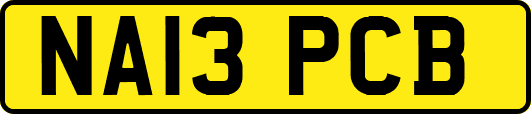 NA13PCB