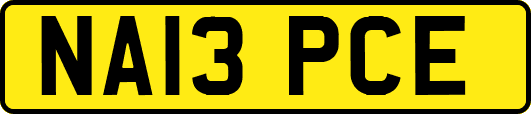 NA13PCE