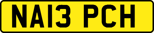 NA13PCH