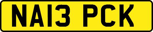 NA13PCK