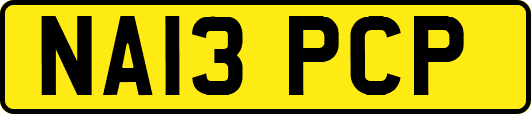 NA13PCP
