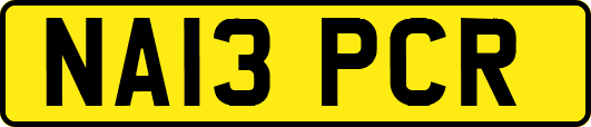 NA13PCR