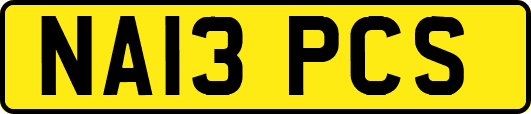 NA13PCS
