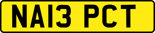 NA13PCT