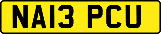 NA13PCU