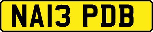 NA13PDB