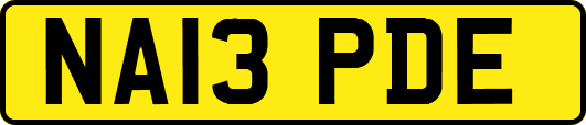 NA13PDE