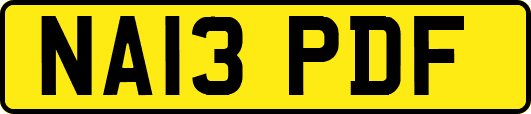 NA13PDF