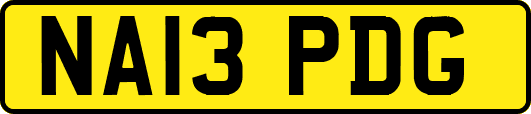 NA13PDG