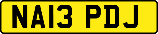 NA13PDJ