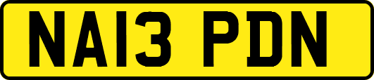 NA13PDN