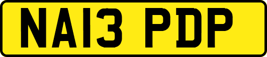 NA13PDP