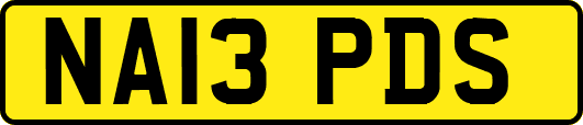 NA13PDS