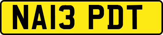NA13PDT