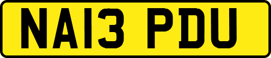 NA13PDU