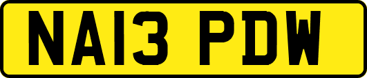 NA13PDW