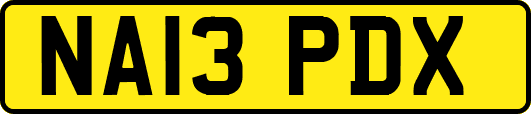NA13PDX