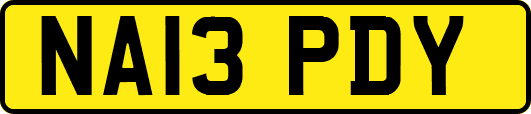 NA13PDY