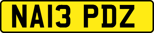 NA13PDZ