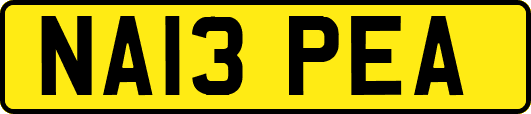 NA13PEA
