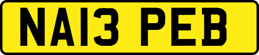 NA13PEB