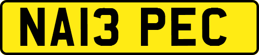 NA13PEC