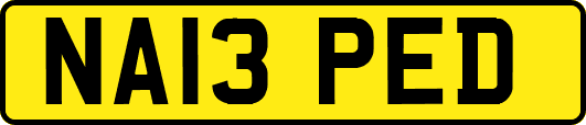 NA13PED