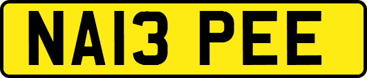 NA13PEE