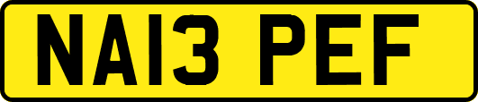 NA13PEF