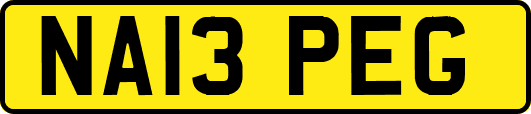 NA13PEG